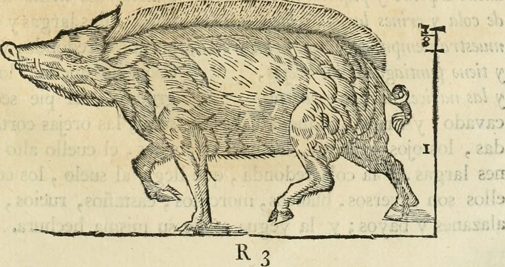 An illustration from Varia commensuracion para la escultura y arquitectura, 1795, leaf 214