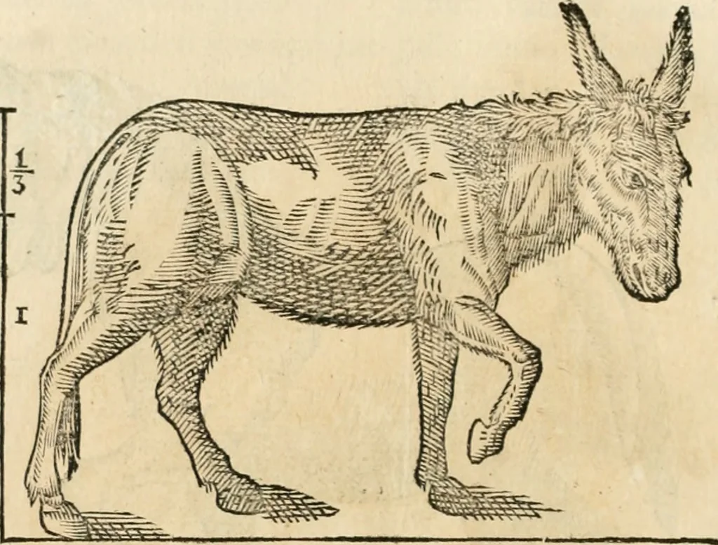 An illustration from Varia commensuracion para la escultura y arquitectura, 1795, leaf 217