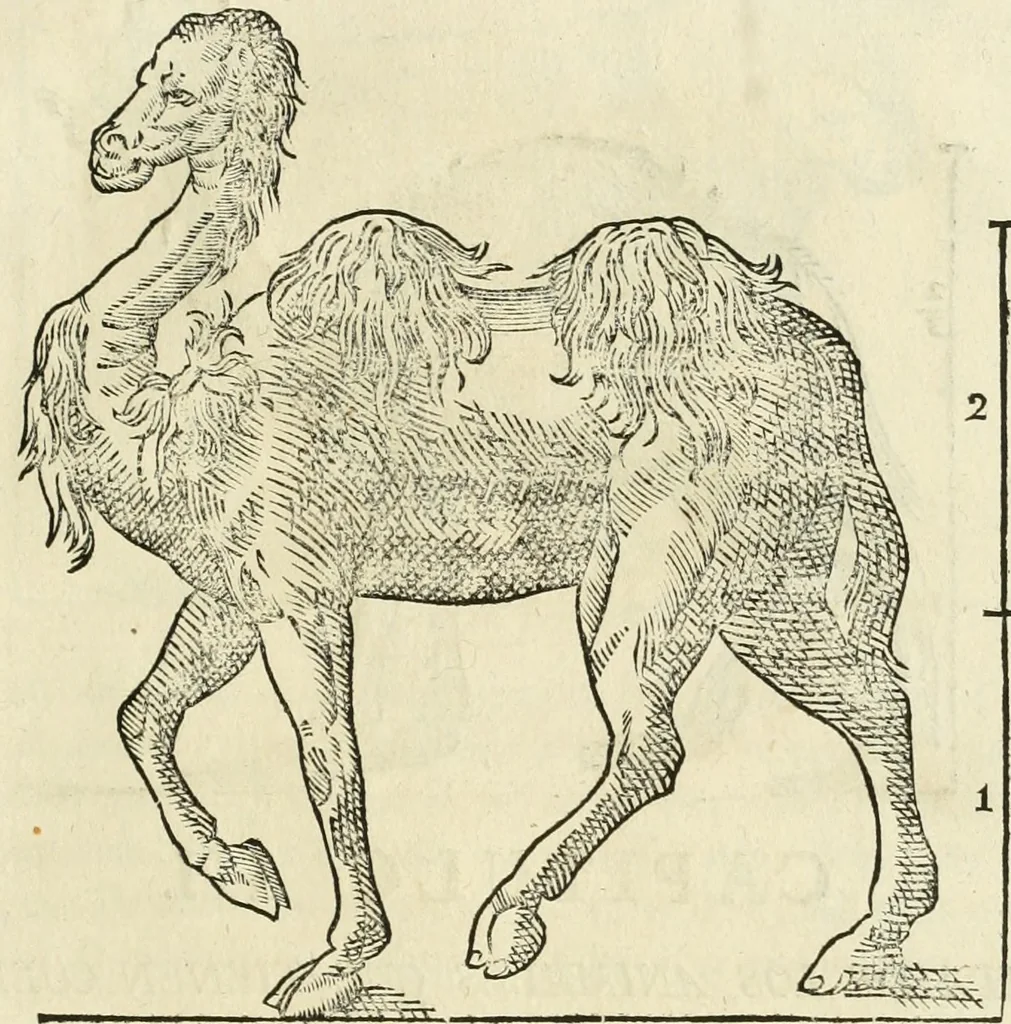 An illustration from Varia commensuracion para la escultura y arquitectura, 1795, leaf 218