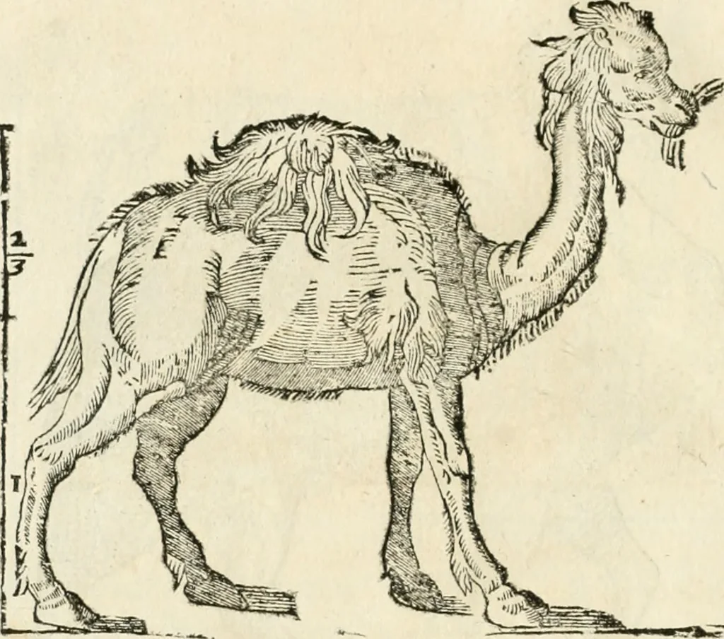 An illustration from Varia commensuracion para la escultura y arquitectura, 1795, leaf 219