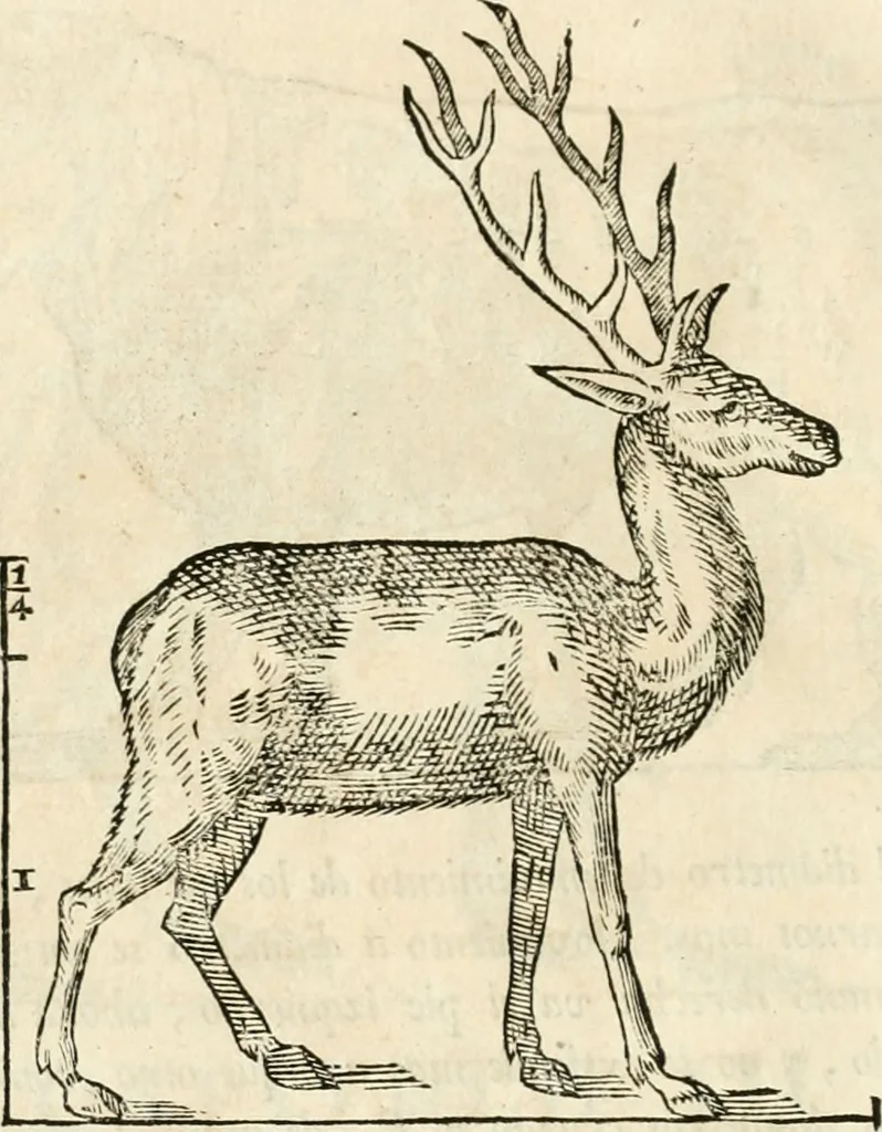 An illustration from Varia commensuracion para la escultura y arquitectura, 1795, leaf 221