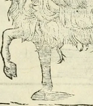 An illustration from Varia commensuracion para la escultura y arquitectura, 1795, leaf 222