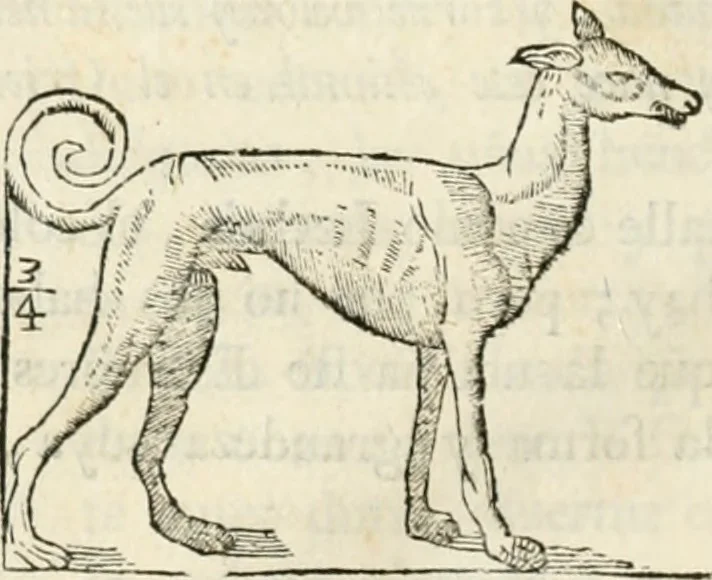 An illustration from Varia commensuracion para la escultura y arquitectura, 1795, leaf 223