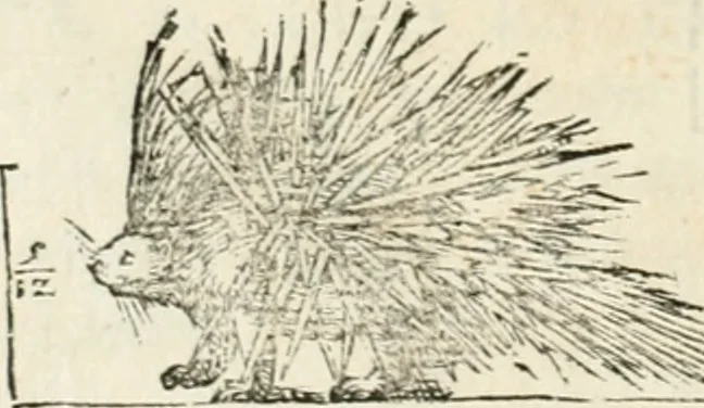 An illustration from Varia commensuracion para la escultura y arquitectura, 1795, leaf 225