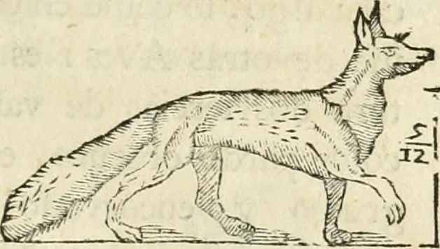 An illustration from Varia commensuracion para la escultura y arquitectura, 1795, leaf 226
