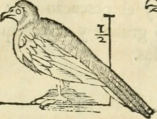 An illustration from Varia commensuracion para la escultura y arquitectura, 1795, leaf 228