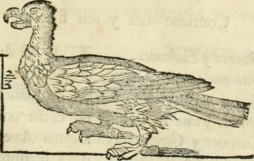 An illustration from Varia commensuracion para la escultura y arquitectura, 1795, leaf 228