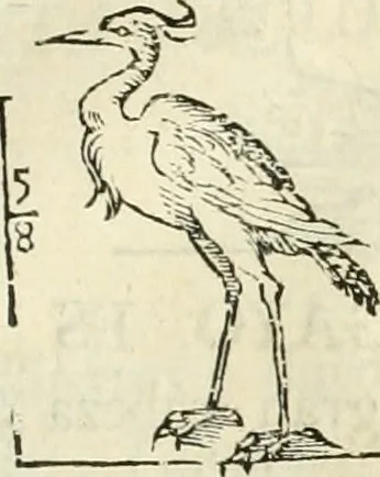 An illustration from Varia commensuracion para la escultura y arquitectura, 1795, leaf 232