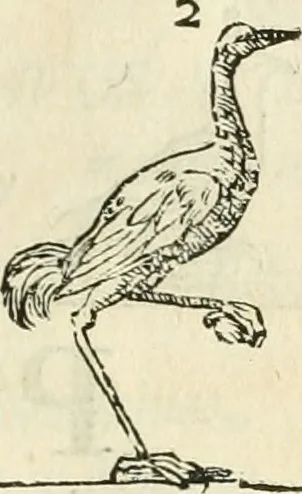 An illustration from Varia commensuracion para la escultura y arquitectura, 1795, leaf 232