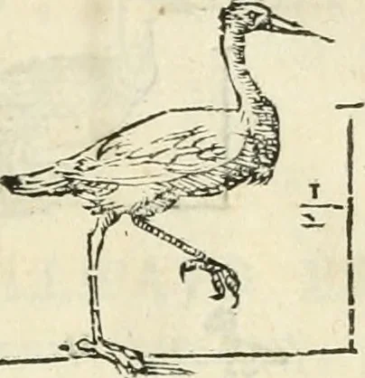 An illustration from Varia commensuracion para la escultura y arquitectura, 1795, leaf 232