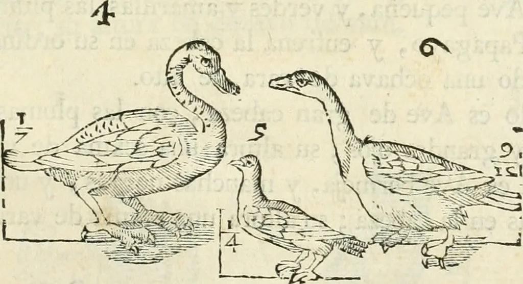 An illustration from Varia commensuracion para la escultura y arquitectura, 1795, leaf 232