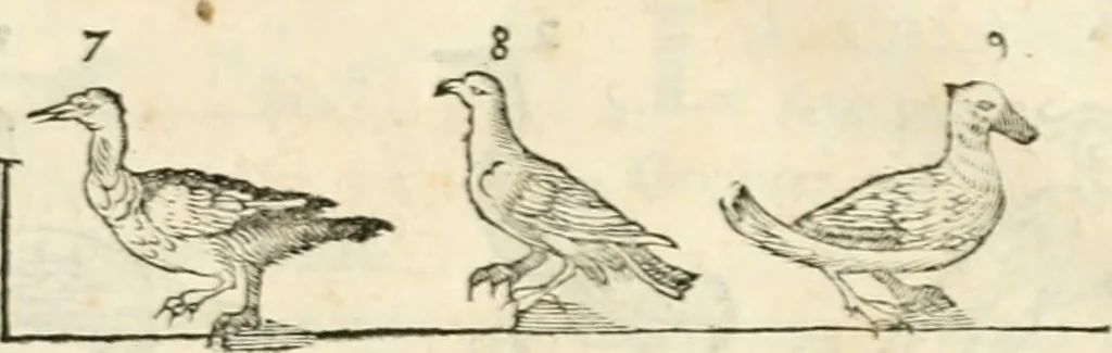 An illustration from Varia commensuracion para la escultura y arquitectura, 1795, leaf 233