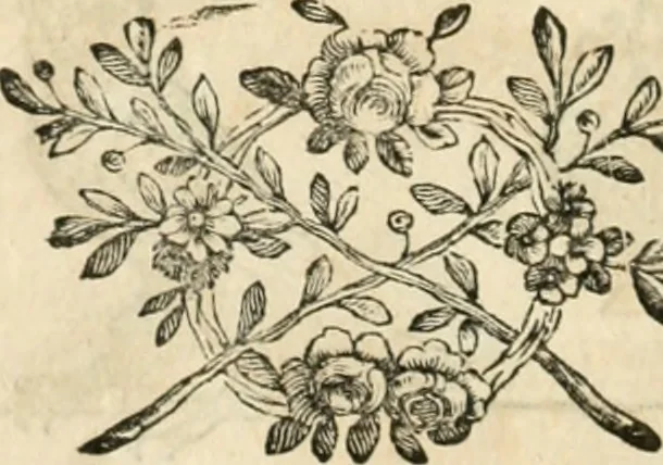 An illustration from Varia commensuracion para la escultura y arquitectura, 1795, leaf 235