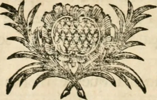 An illustration from Varia commensuracion para la escultura y arquitectura, 1795, leaf 269