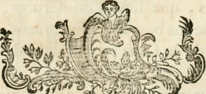 An illustration from Varia commensuracion para la escultura y arquitectura, 1795, leaf 295