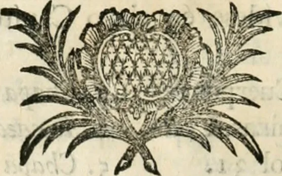 An illustration from Varia commensuracion para la escultura y arquitectura, 1795, leaf 85