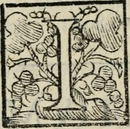 An illustration from Variae lectiones et opvscvla quorum nomina post epistolam, 1594, leaf 101