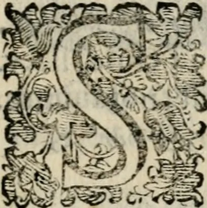An illustration from Variae lectiones et opvscvla quorum nomina post epistolam, 1594, leaf 102