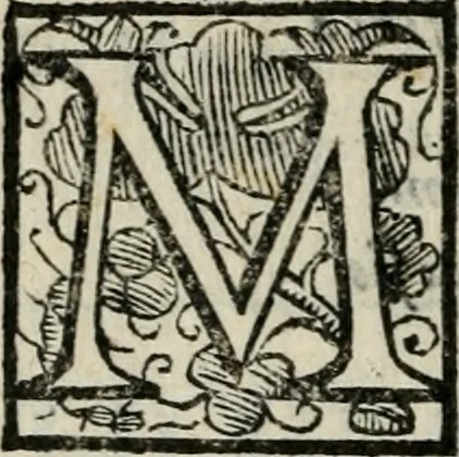 An illustration from Variae lectiones et opvscvla quorum nomina post epistolam, 1594, leaf 105