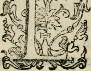 An illustration from Variae lectiones et opvscvla quorum nomina post epistolam, 1594, leaf 114