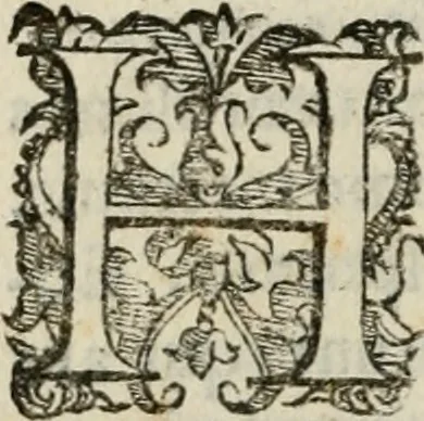 An illustration from Variae lectiones et opvscvla quorum nomina post epistolam, 1594, leaf 117