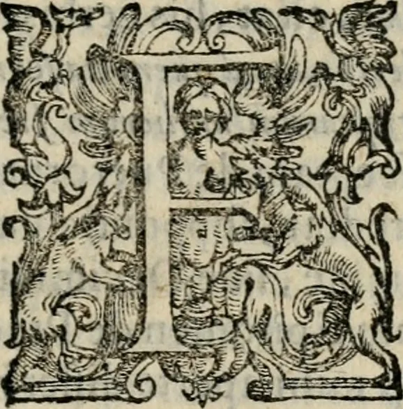 An illustration from Variae lectiones et opvscvla quorum nomina post epistolam, 1594, leaf 128
