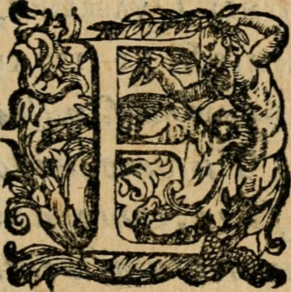 An illustration from Variae lectiones et opvscvla quorum nomina post epistolam, 1594, leaf 14