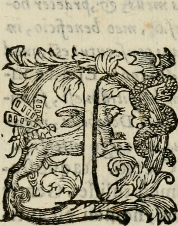 An illustration from Variae lectiones et opvscvla quorum nomina post epistolam, 1594, leaf 156