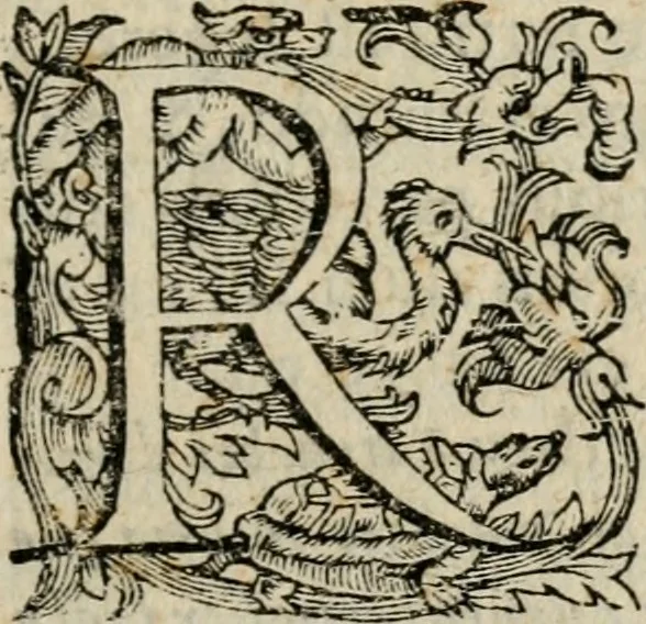 An illustration from Variae lectiones et opvscvla quorum nomina post epistolam, 1594, leaf 36