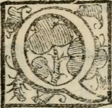 An illustration from Variae lectiones et opvscvla quorum nomina post epistolam, 1594, leaf 48