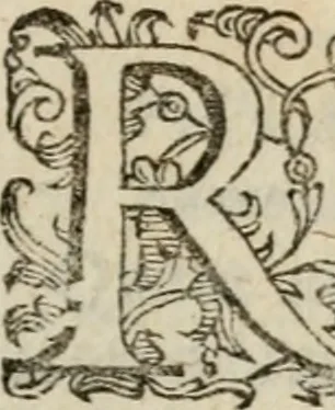 An illustration from Variae lectiones et opvscvla quorum nomina post epistolam, 1594, leaf 50