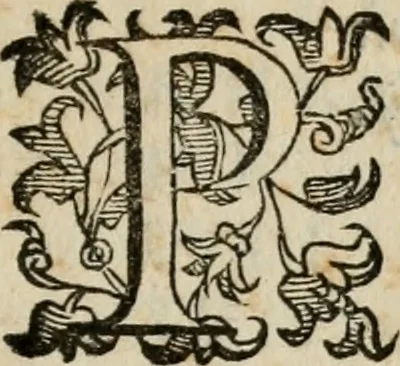 An illustration from Variae lectiones et opvscvla quorum nomina post epistolam, 1594, leaf 54