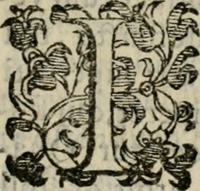 An illustration from Variae lectiones et opvscvla quorum nomina post epistolam, 1594, leaf 60
