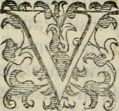An illustration from Variae lectiones et opvscvla quorum nomina post epistolam, 1594, leaf 65