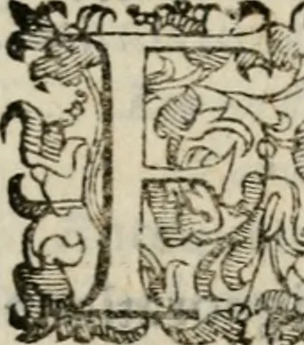 An illustration from Variae lectiones et opvscvla quorum nomina post epistolam, 1594, leaf 70