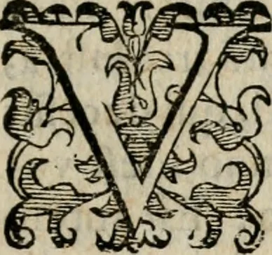 An illustration from Variae lectiones et opvscvla quorum nomina post epistolam, 1594, leaf 76