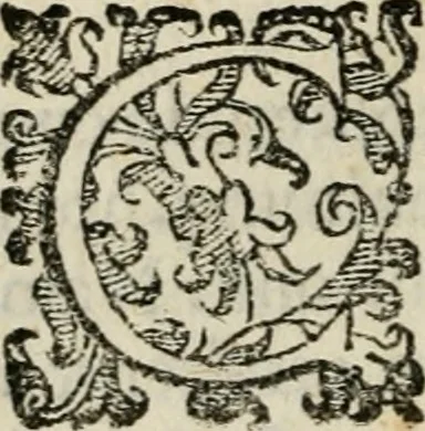 An illustration from Variae lectiones et opvscvla quorum nomina post epistolam, 1594, leaf 87