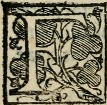 An illustration from Variae lectiones et opvscvla quorum nomina post epistolam, 1594, leaf 99