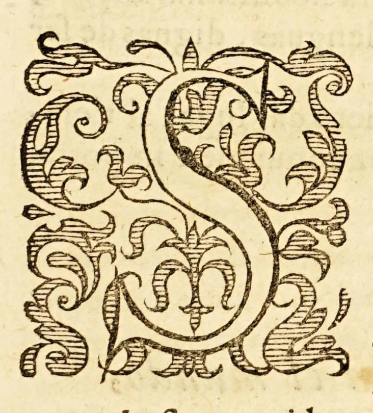 An illustration from Varias antiguedades de España Africa y otras prouincias, 1614, leaf 21