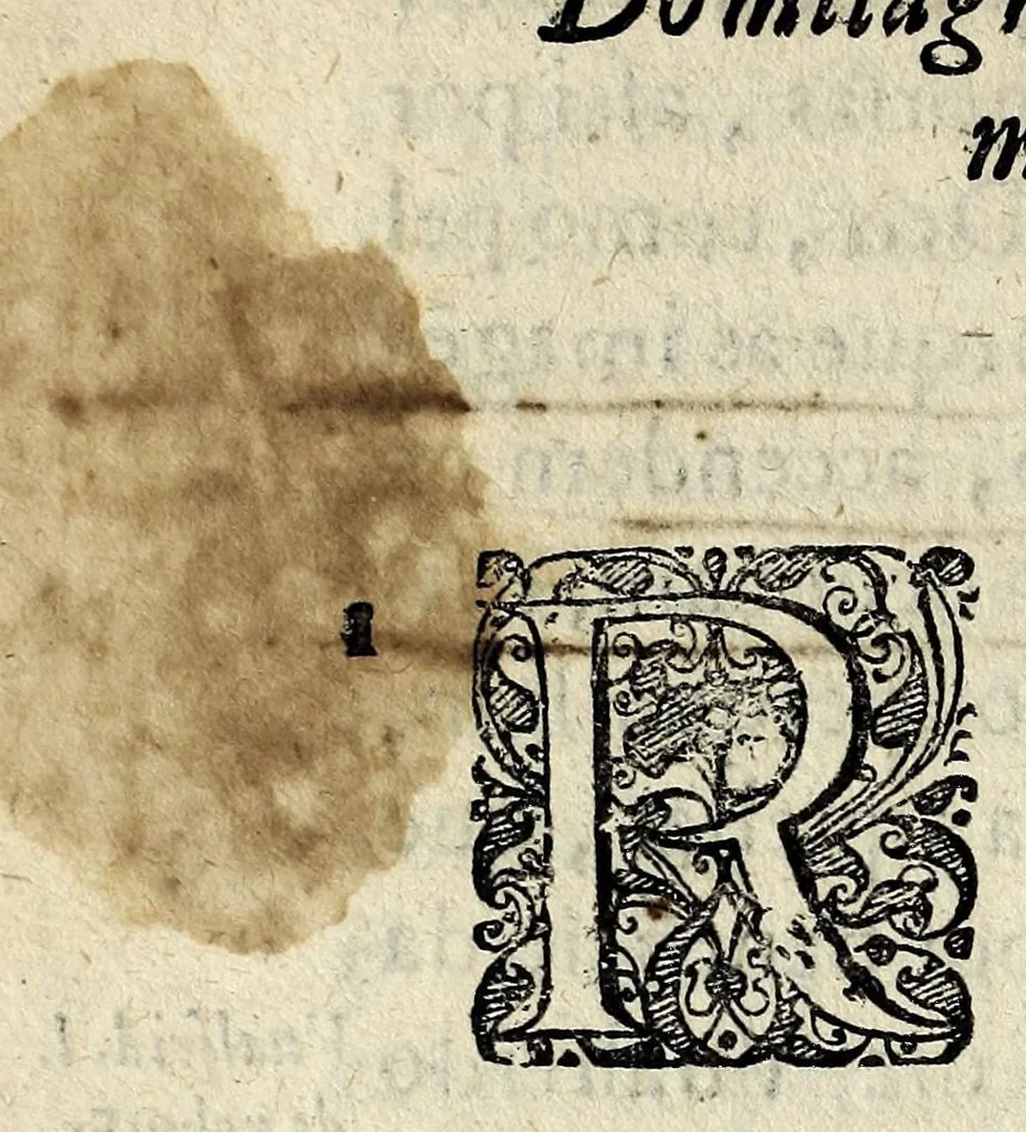 An illustration from Varias antiguidades de Portugal, 1625, leaf 164