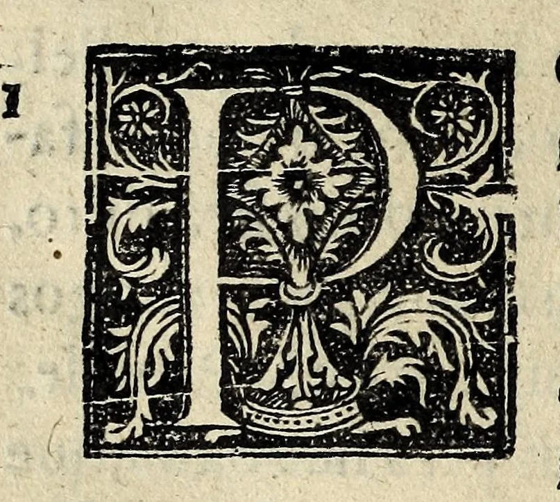 An illustration from Varias antiguidades de Portugal, 1625, leaf 336