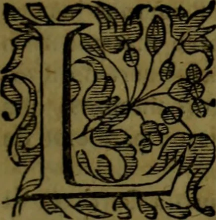 An illustration from Varias antigvedades de España, Africa y otras provincias, 1614, leaf 510