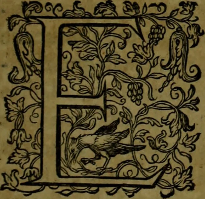 An illustration from Varias antigvedades de España, Africa y otras provincias, 1614, leaf 6