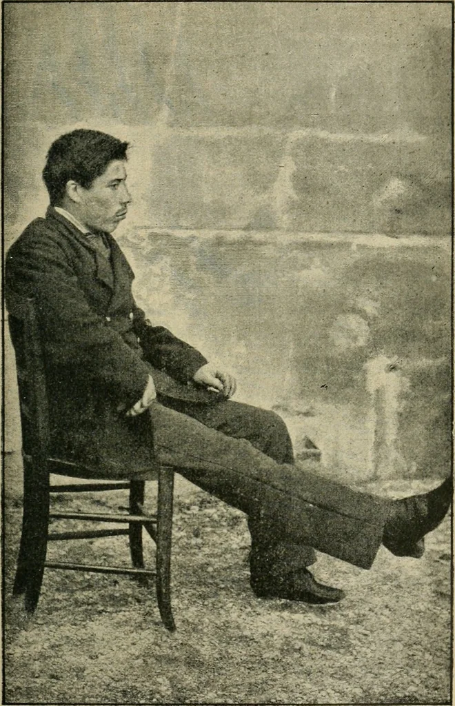 An illustration from Variations de la personnalité, 1888, leaf 84
