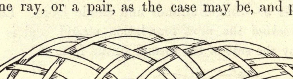 An illustration from Varied occupations in weaving, 1901, leaf 208