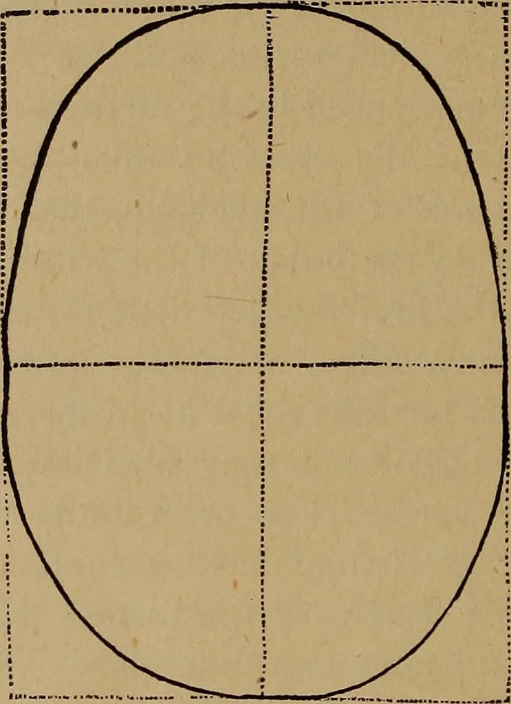 An illustration from The varieties of the human species: principles and method of classification, 1894, leaf 31