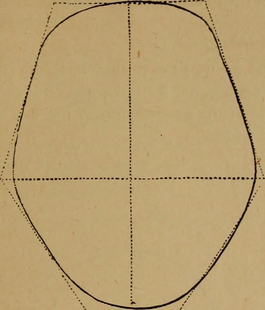 An illustration from The varieties of the human species: principles and method of classification, 1894, leaf 32