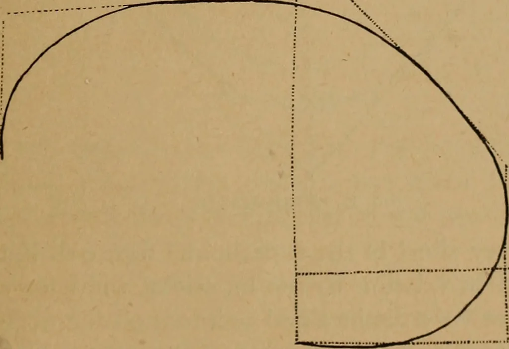 An illustration from The varieties of the human species: principles and method of classification, 1894, leaf 32