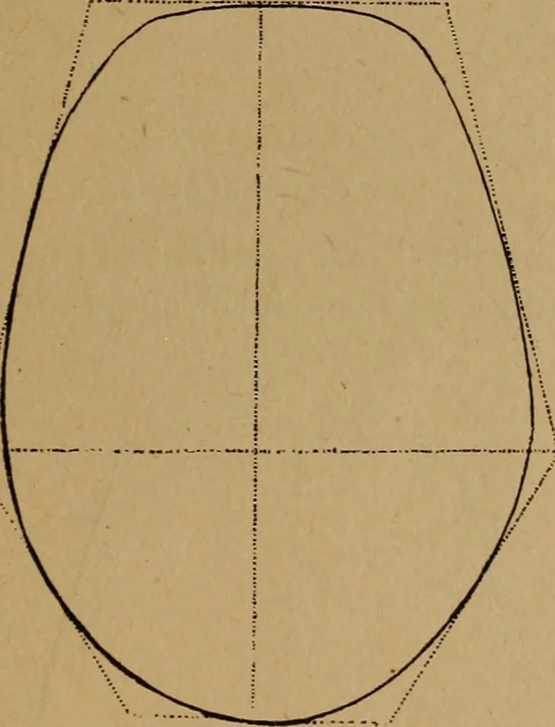 An illustration from The varieties of the human species: principles and method of classification, 1894, leaf 34