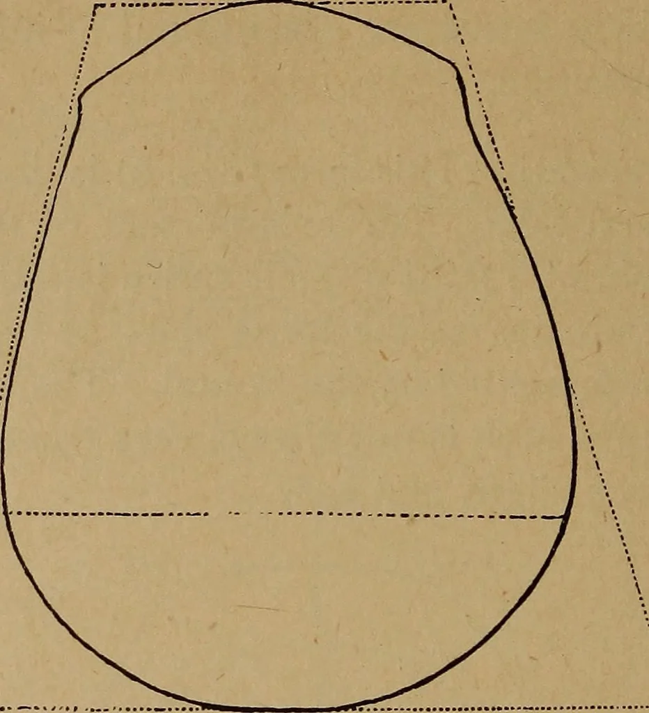 An illustration from The varieties of the human species: principles and method of classification, 1894, leaf 35